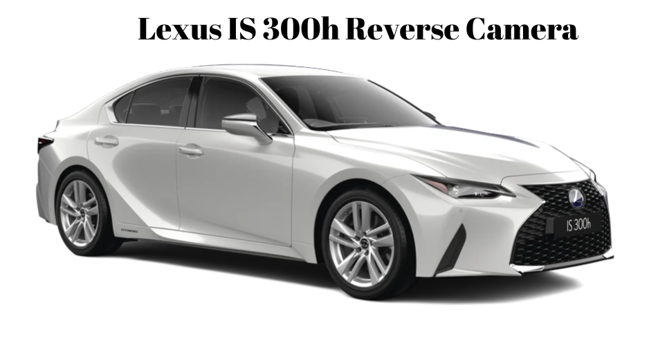 Lexus Reverse Camera (1)